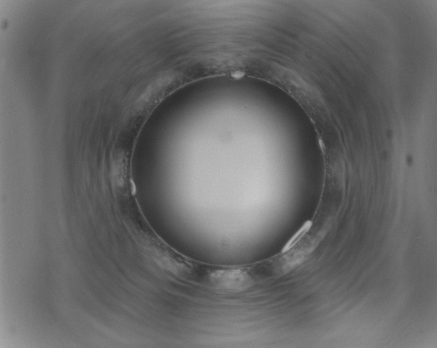 X0000072940133200607211111