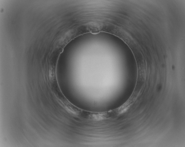 X0000072940134200607211111