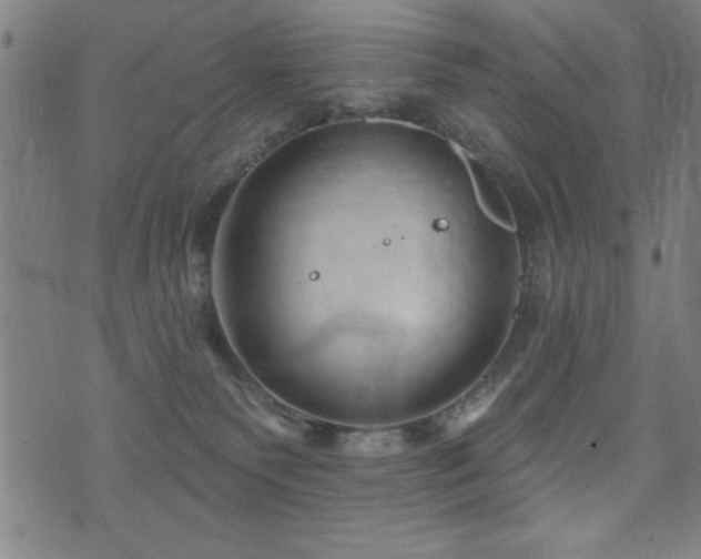 X0000072940135200607211111