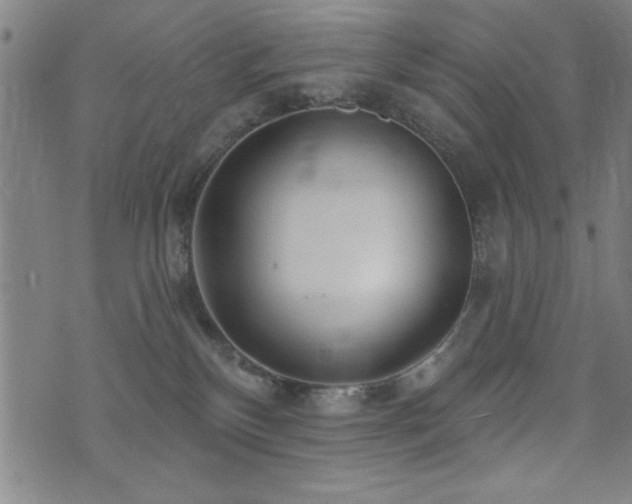 X0000072940136200607211111