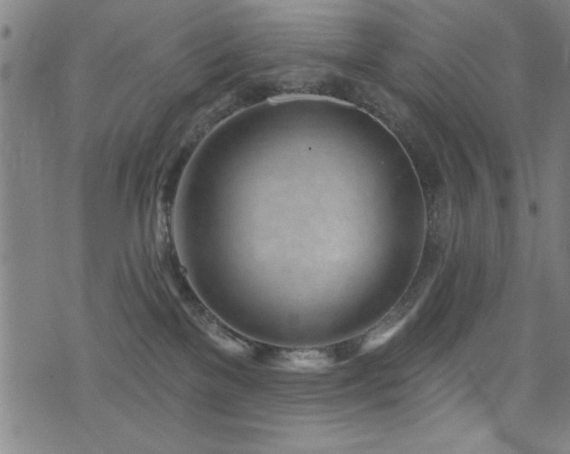 X0000072940137200607211111