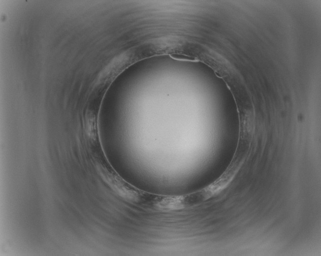 X0000072940138200607211111