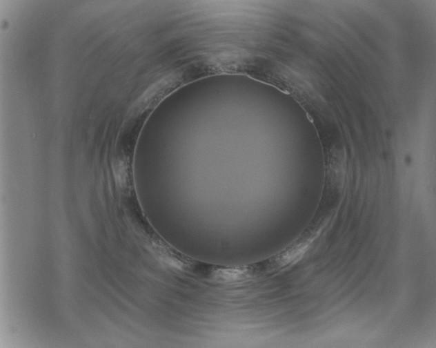 X0000072940139200607211111