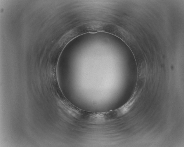 X0000072940140200607211111