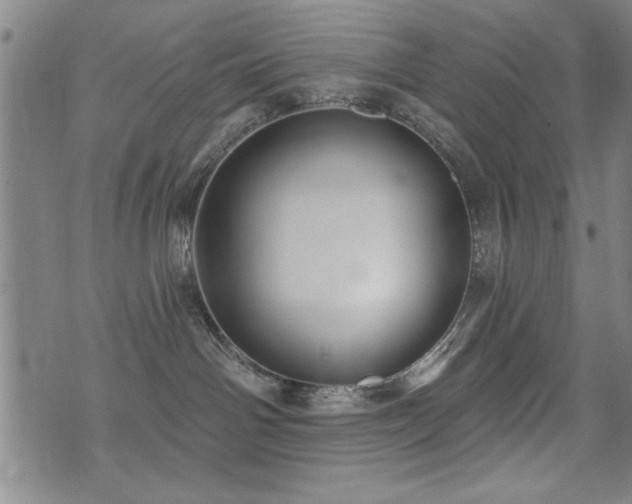 X0000072940142200607211111