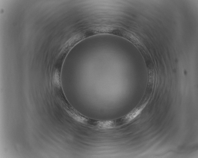 X0000072940143200607211111