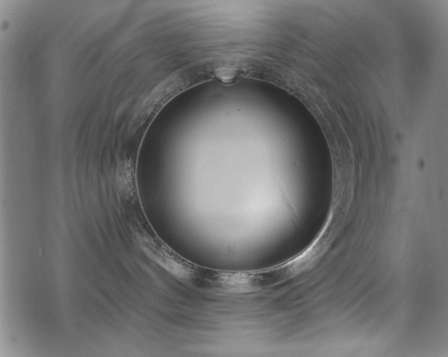 X0000072940144200607211111