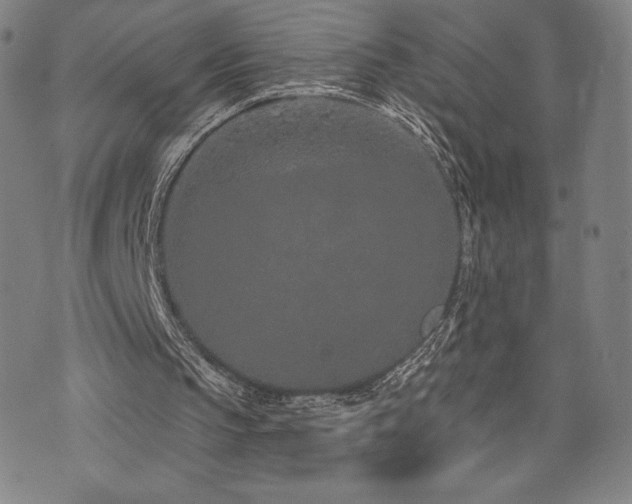 X0000072940145200607211110