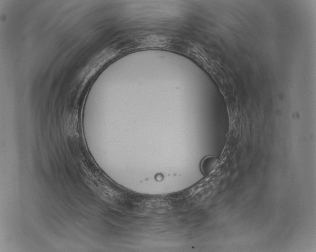 X0000072940146200607211110