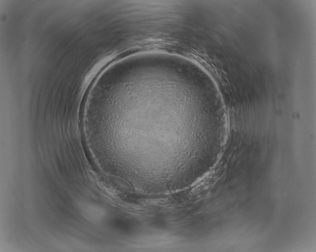 X0000072940147200607211110