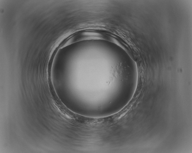 X0000072940148200607211110