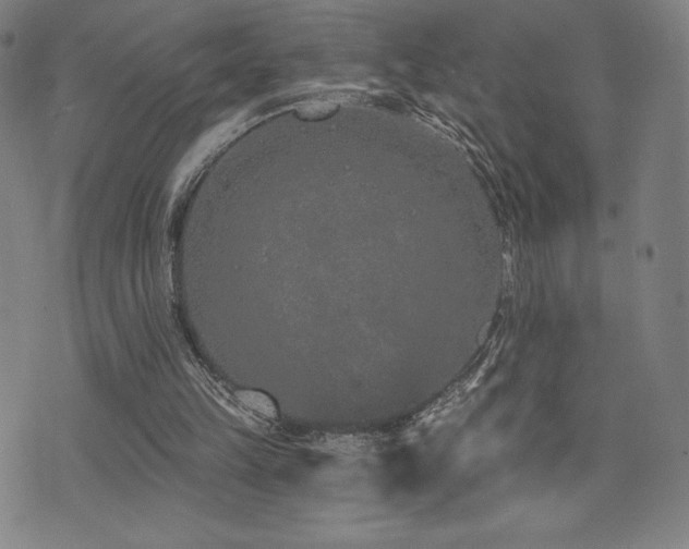 X0000072940149200607211110