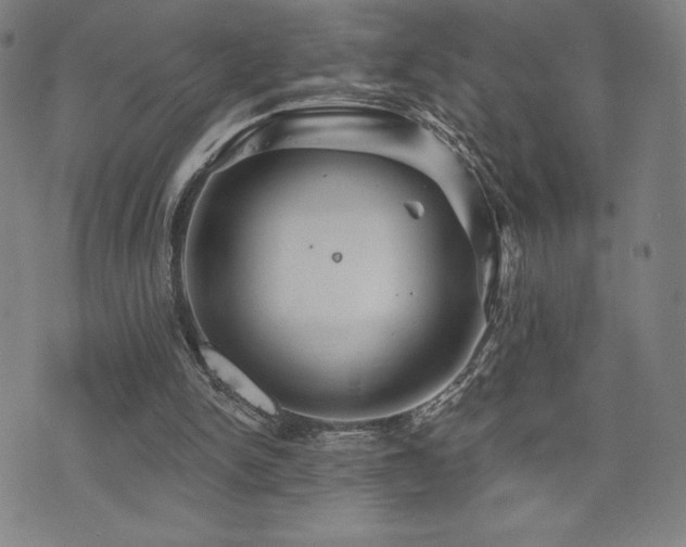 X0000072940150200607211110