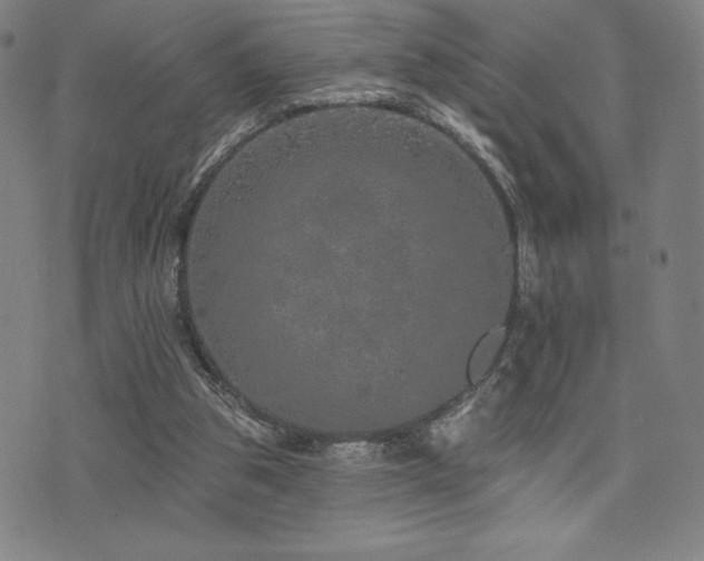 X0000072940153200607211110