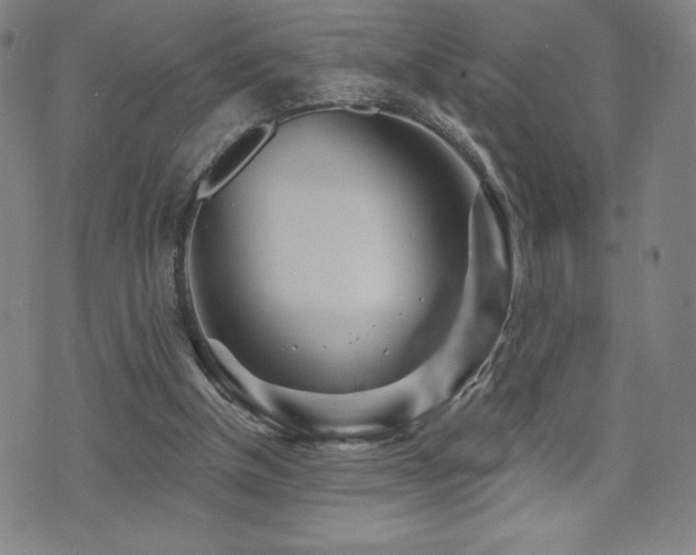 X0000072940154200607211110