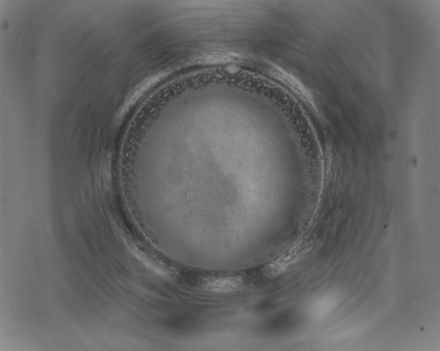 X0000072940155200607211110