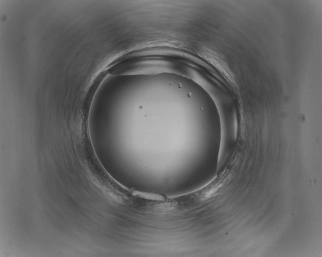 X0000072940156200607211110