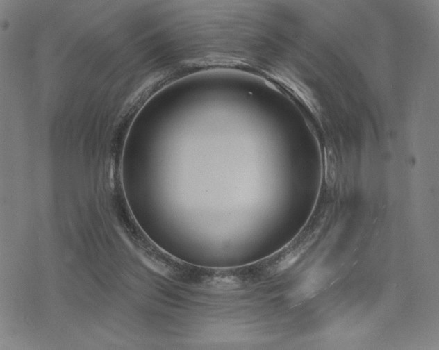 X0000072940157200607211110