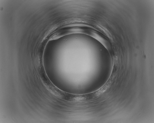 X0000072940158200607211110