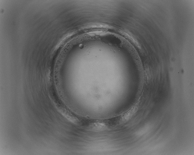 X0000072940159200607211110