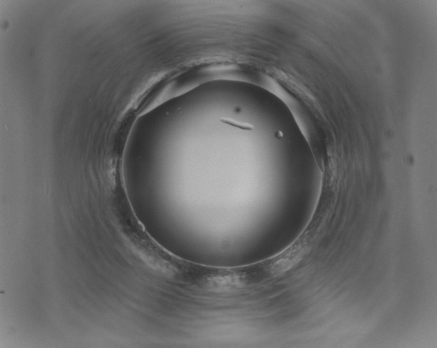 X0000072940160200607211110