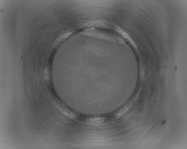 X0000072940161200607211110