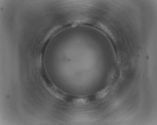 X0000072940163200607211110