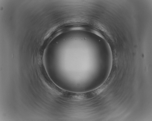 X0000072940164200607211110