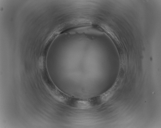 X0000072940167200607211110