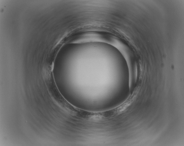 X0000072940168200607211111