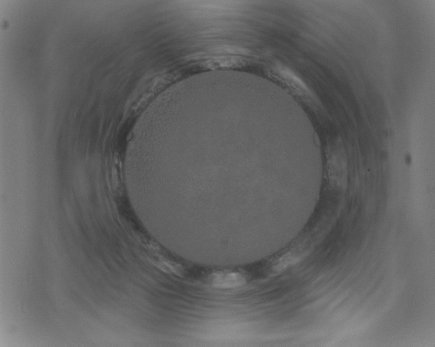 X0000072940169200607211111