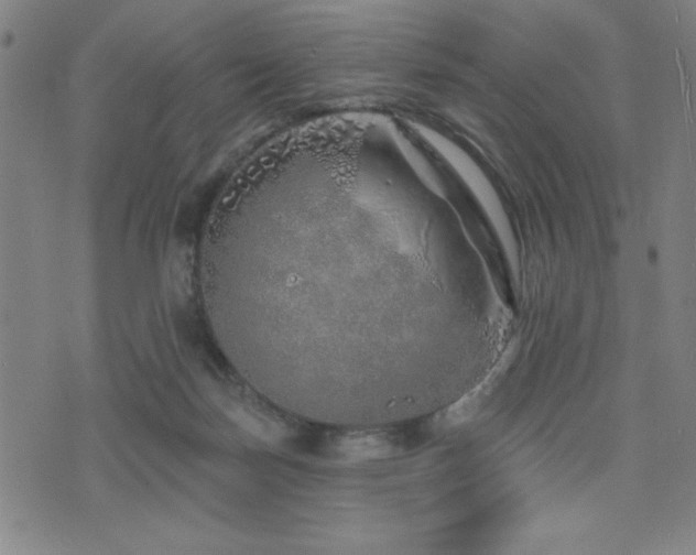 X0000072940171200607211111