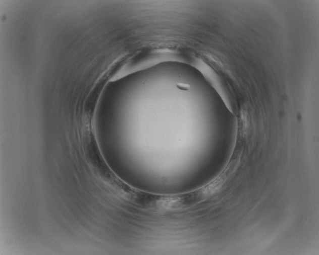 X0000072940172200607211111