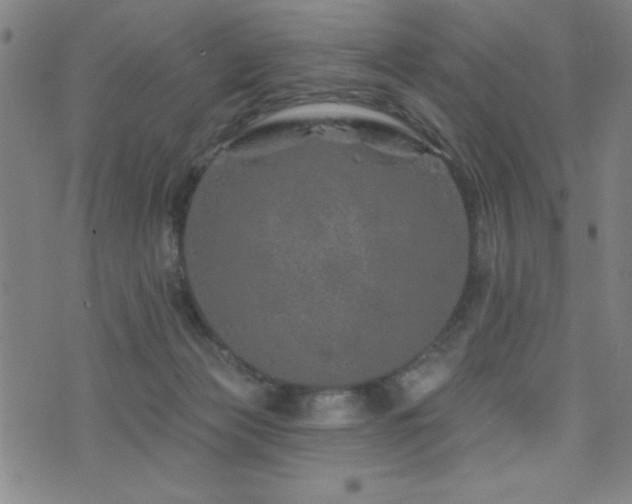 X0000072940173200607211111