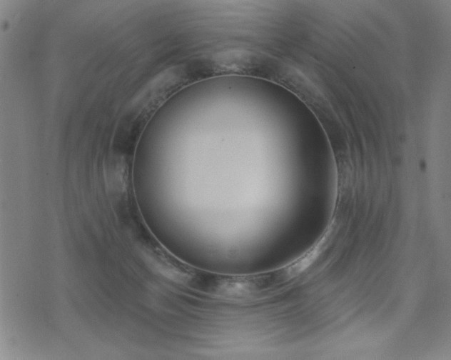 X0000072940174200607211111