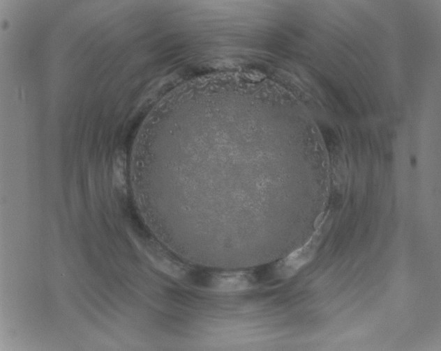 X0000072940175200607211111