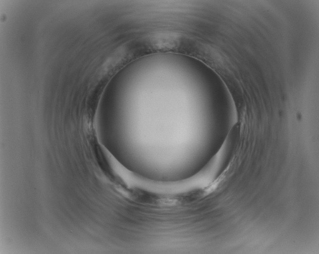 X0000072940176200607211111