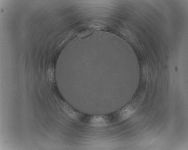 X0000072940177200607211111