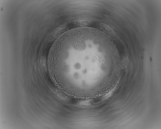 X0000072940178200607211111