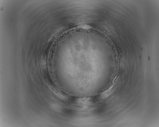 X0000072940179200607211111