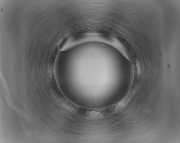 X0000072940180200607211111