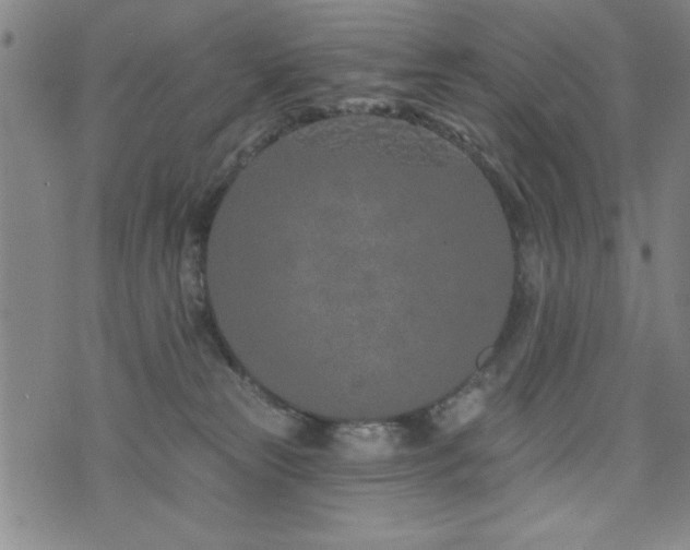 X0000072940181200607211111