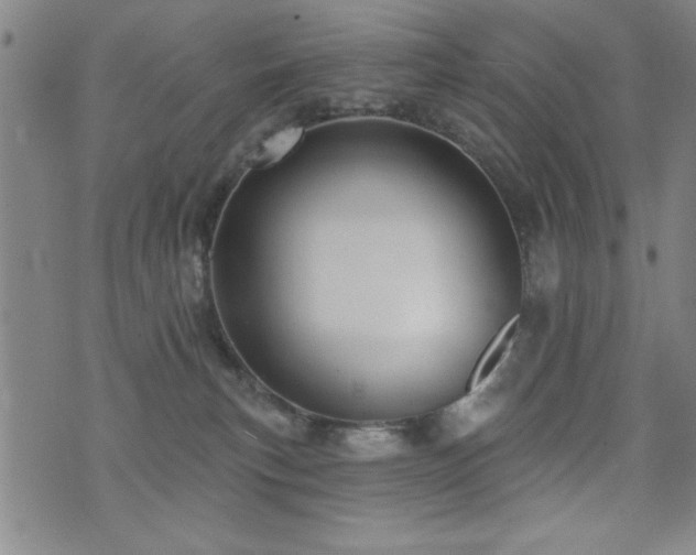 X0000072940183200607211111