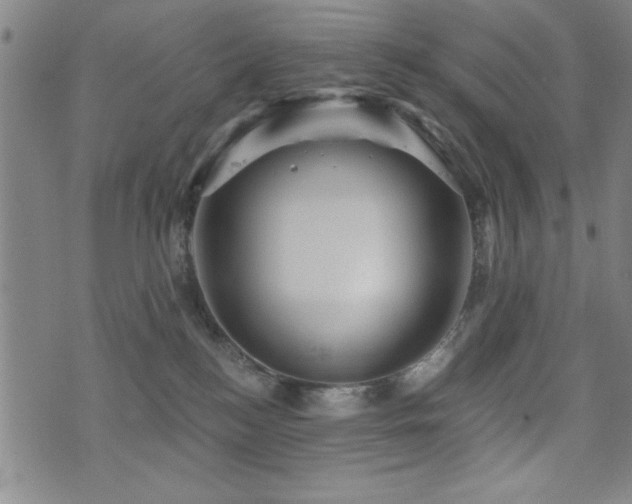 X0000072940184200607211111