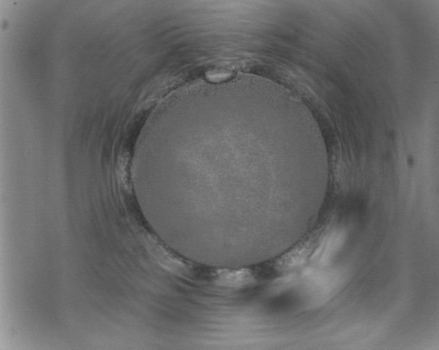 X0000072940185200607211111