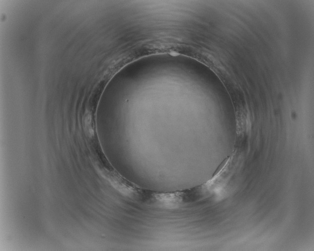 X0000072940187200607211111