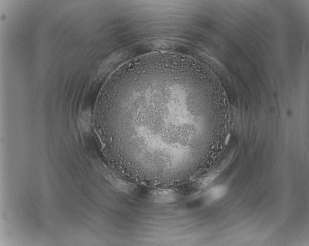 X0000072940189200607211111