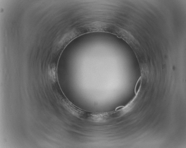 X0000072940190200607211111