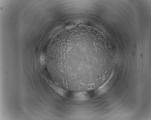 X0000072940191200607211111