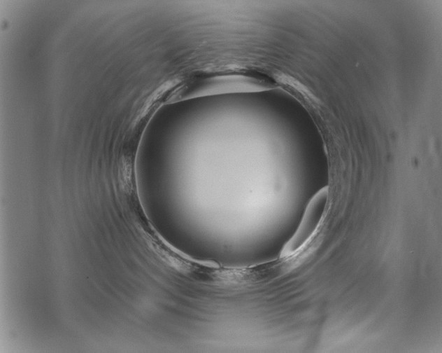 X0000072940192200607211111